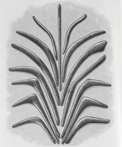 Boomerang- og boomerangformede køller, fra 