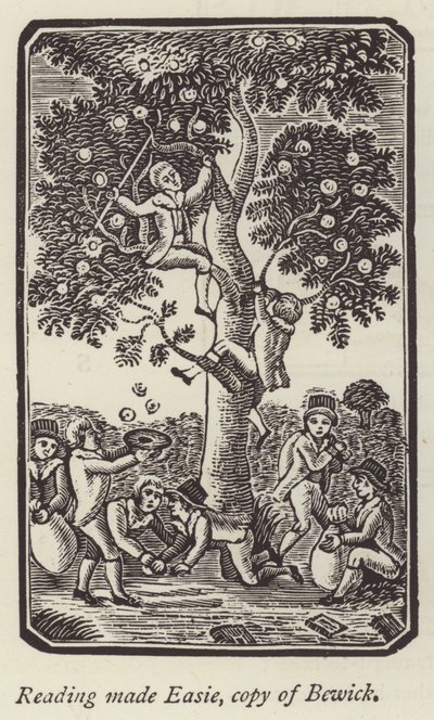 Drenge plukker æbler (gravering) af English School