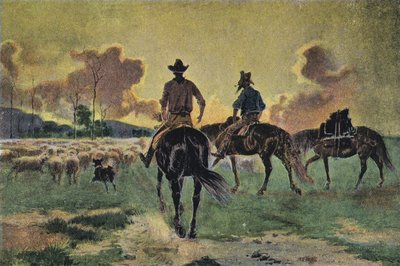 Bringing Home the Sheepdani af English School