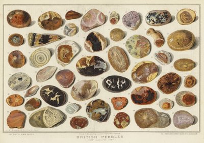 British Pebbles (chromolitho) af English School