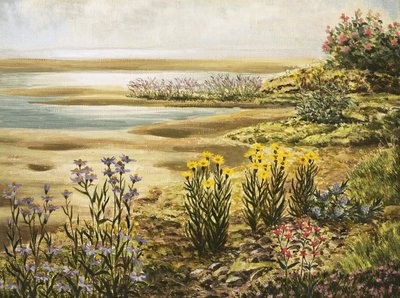 Britiske saltmarskblomster af English School