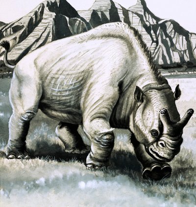 Brontotherium fra Oligocæn-alderen af English School