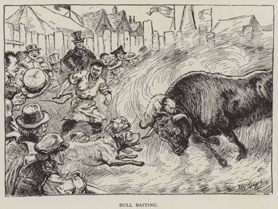 Bull Baiting (litho) af English School