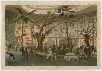 Bullocks Museum af English School