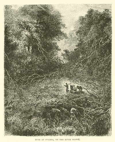 Bush at Ovamba, on the River Ogowe  af English School