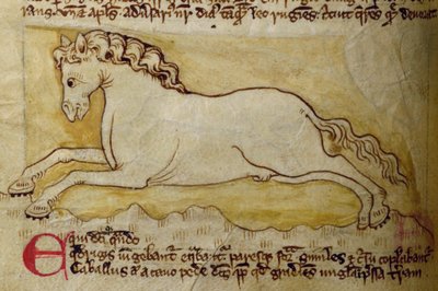 CCA-LitMs/D/10 fol. 10r Hest, fra Bestiary af English School
