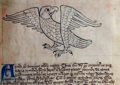 CCA-LitMs/D/10 fol. 13r Eagle, fra Bestiary af English School