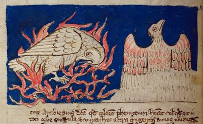 CCA-LitMs/D/10 fol. 17v Pheonix, fra Bestiary af English School