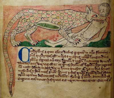 CCA-LitMs/D/10 fol. 3v Crocodile, fra Bestiary af English School