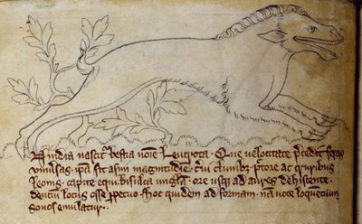 CCA-LitMs/D/10 fol. 3v Leucrota, fra Bestiary af English School