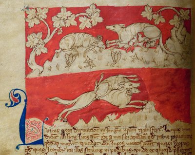 CCA-LitMs/D/10 fol. 4v Wolf, fra Bestiary af English School