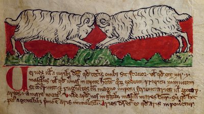 CCA-LitMs/D/10 fol. 8r Wether, fra Bestiary af English School