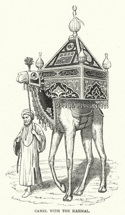 Kamel med Mahmal (gravering) af English School