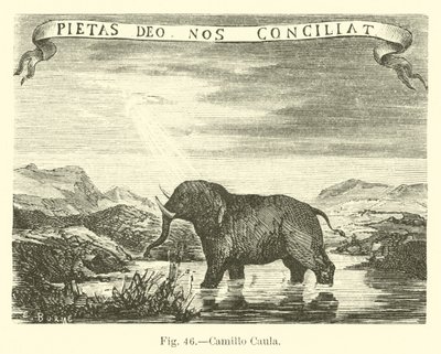 Camillo Caula af English School