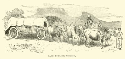 Cape Bullock-vogn af English School