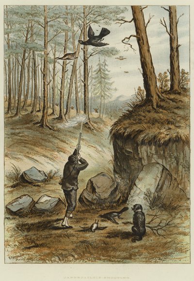 Capercailzie-Shooting (chromolitho) af English School