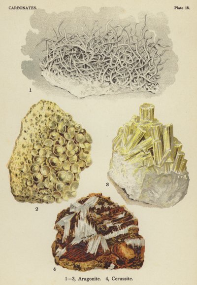 Karbonater, aragonit, cerussit (farve litho) af English School