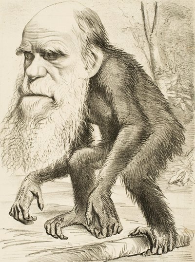Karikatur af Charles Darwin af English School