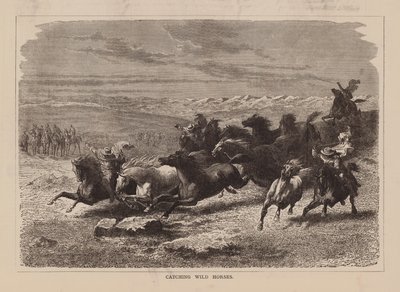 Fangst af vilde heste (gravering) af English School