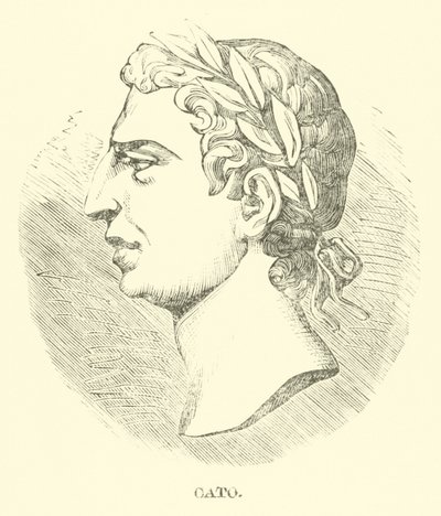 Cato af English School