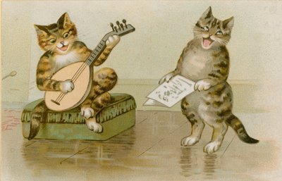 Katte laver musik af English School