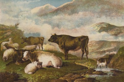 Kvæg, Tidlig morgen af English School
