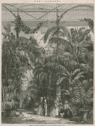 Center for Great Palm House ved Royal Botanic Gardens of Kew af English School