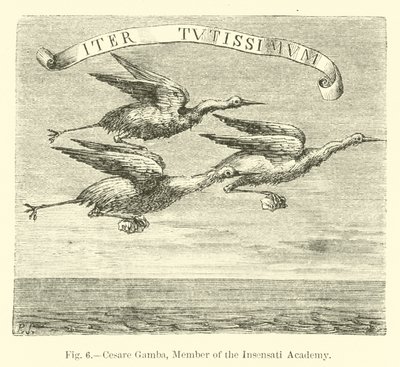 Cesare Gamba, medlem af Insensati Academy af English School