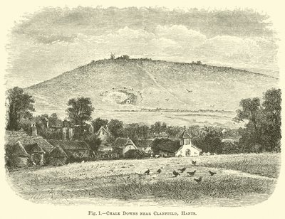 Chalk Downs nær Clanfield, Hants af English School