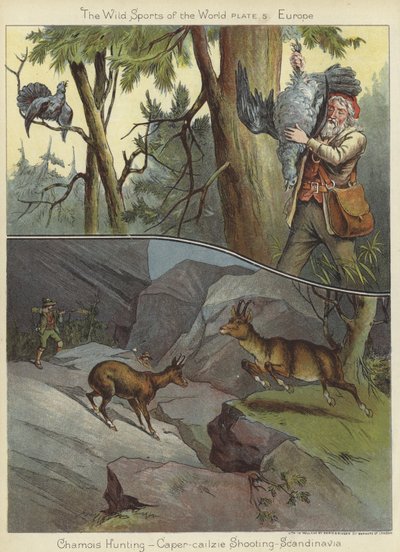 Gemsejagt og kapers-cailzie-skydning af English School