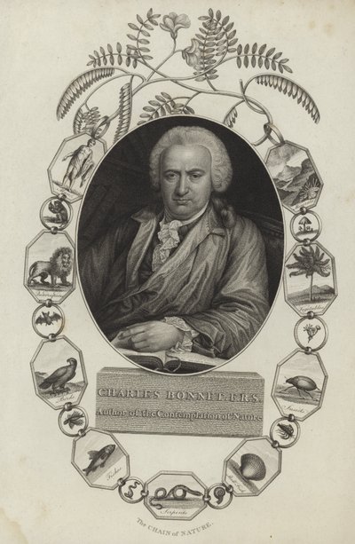 Charles Bonnet af English School