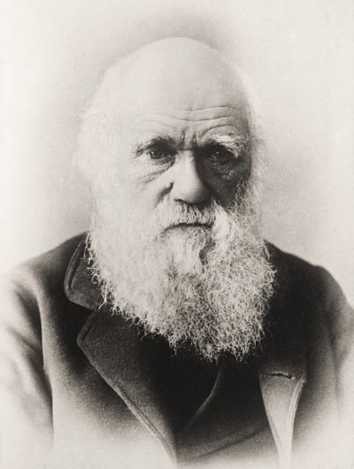 Charles Darwin af English School