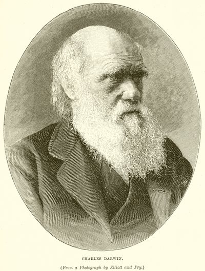 Charles Darwin af English School