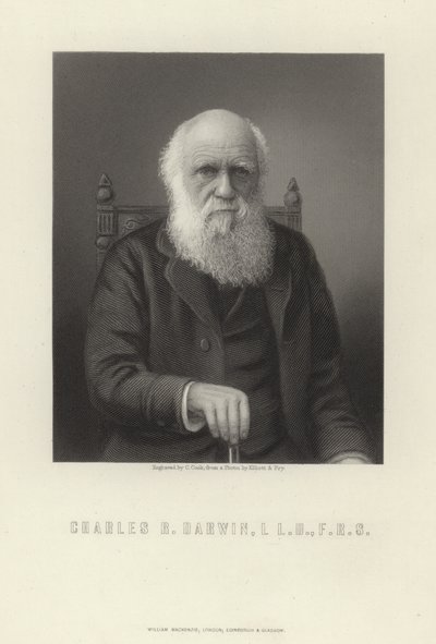 Charles R. Darwin af English School