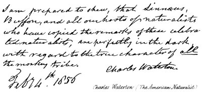 Charles Waterton (den amerikanske naturforsker) af English School