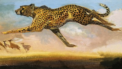 Gepard af English School