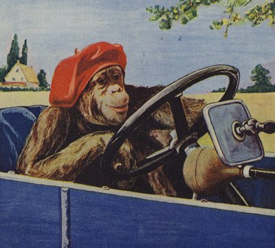 Chimpanse kører bil (farvelitografi) af English School