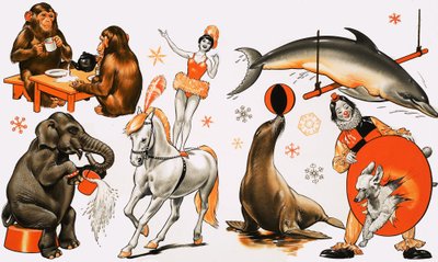 Cirkus montage af English School