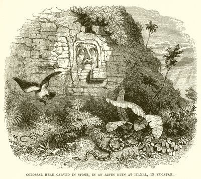 Kolossalt hoved hugget i sten i en aztekisk ruin ved Izamal i Yucatan af English School