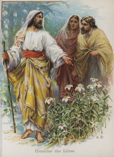 Overvej liljerne (chromolitho) af English School