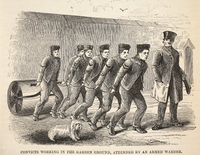 Sträflinge bei der Gartenarbeit, bewacht von einem bewaffneten Wärter, Illustration aus The Criminal Prisons of London and Scenes from Prison Life von Henry Mayhew und John Binny, veröffentlicht 1862 von English School