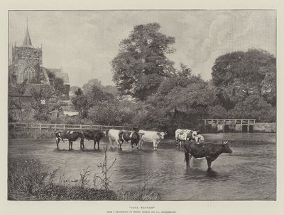 Kühle Wasser von English School