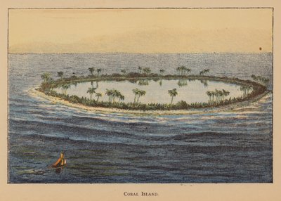 Coral Island (farvelitografi) af English School