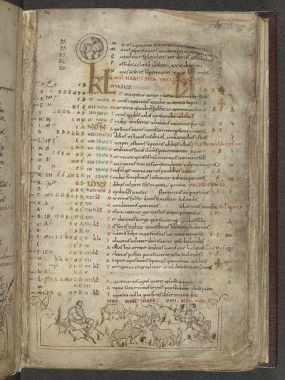 Bomuld Julius A. VI, f.5, kalenderside for maj: Hyrder og flok (vellum) af English School