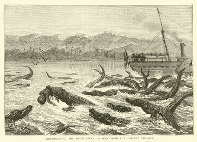 Krokodiller på Shire-floden, set fra Pioneer Steamer af English School