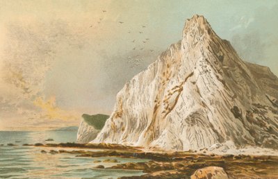 Culver Cliff--Isle of Wight af English School