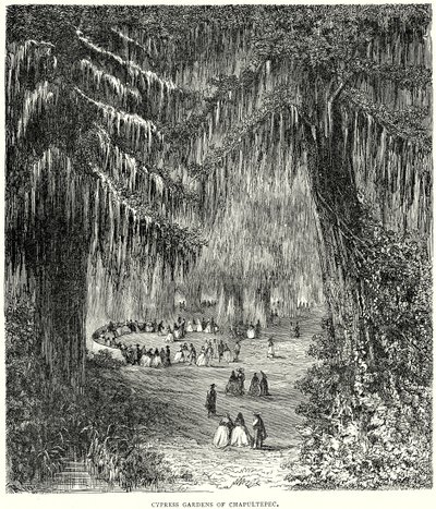 Cypress Gardens of Chapultepec (gravering) af English School