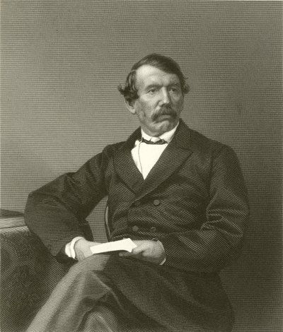 David Livingstone af English School