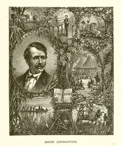 David Livingstone af English School