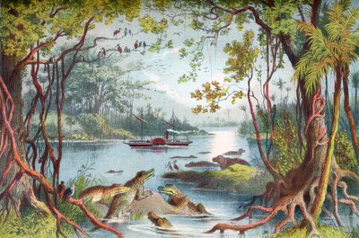 David Livingstones skib The Ma-Robert på Zambezi-floden, Afrika, under hans Zambezi-ekspedition i det 19. århundrede. Fra The Life and Explorations of Dr. Livingstone udgivet c.1875. af English School